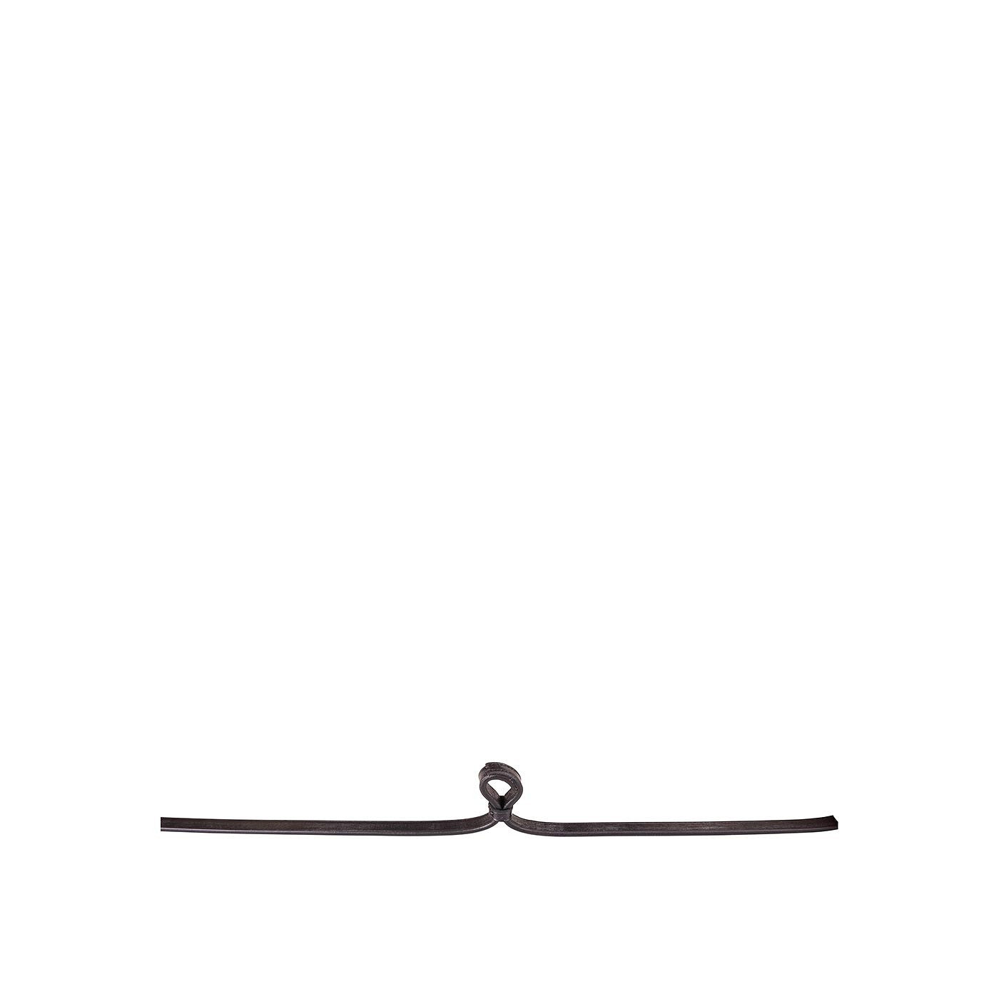 BR Curb Rein Leather closed 13mm blind