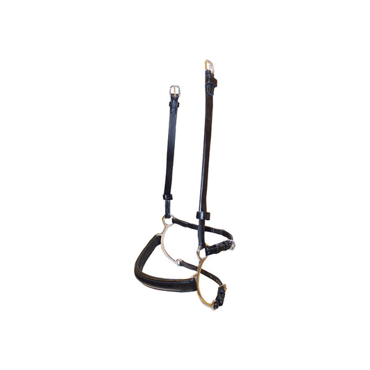 BR Combination Lever Noseband
