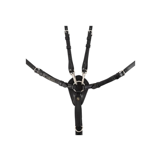 BR Breastplate Corsham