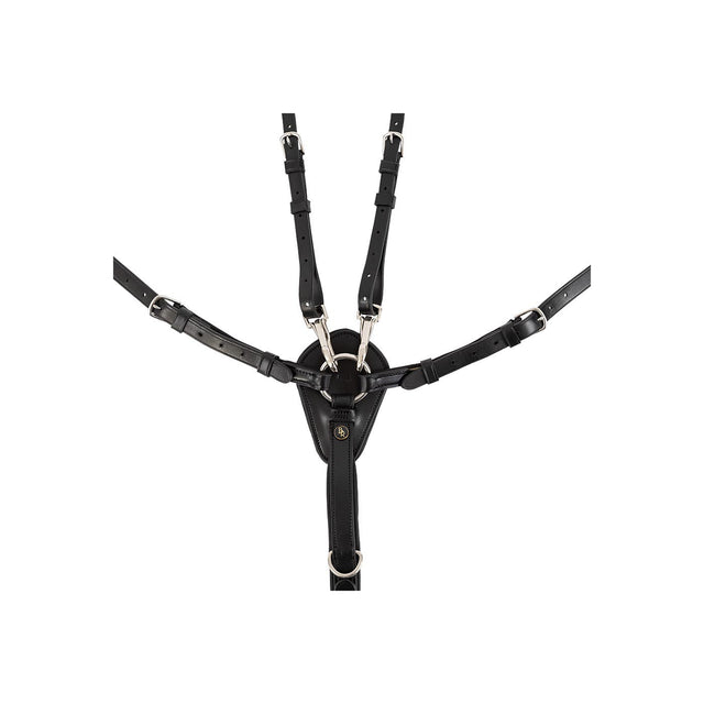 BR Breastplate Corsham