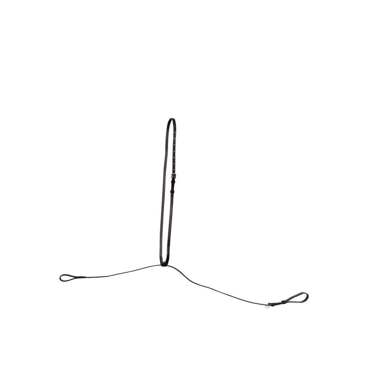 BR Standing Martingale Hinckly