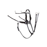 Premiere Breastplate