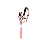 BR Mini Horse Halter with Lead Rope