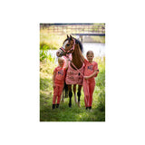 BR Mini-Horse Halter with Lead