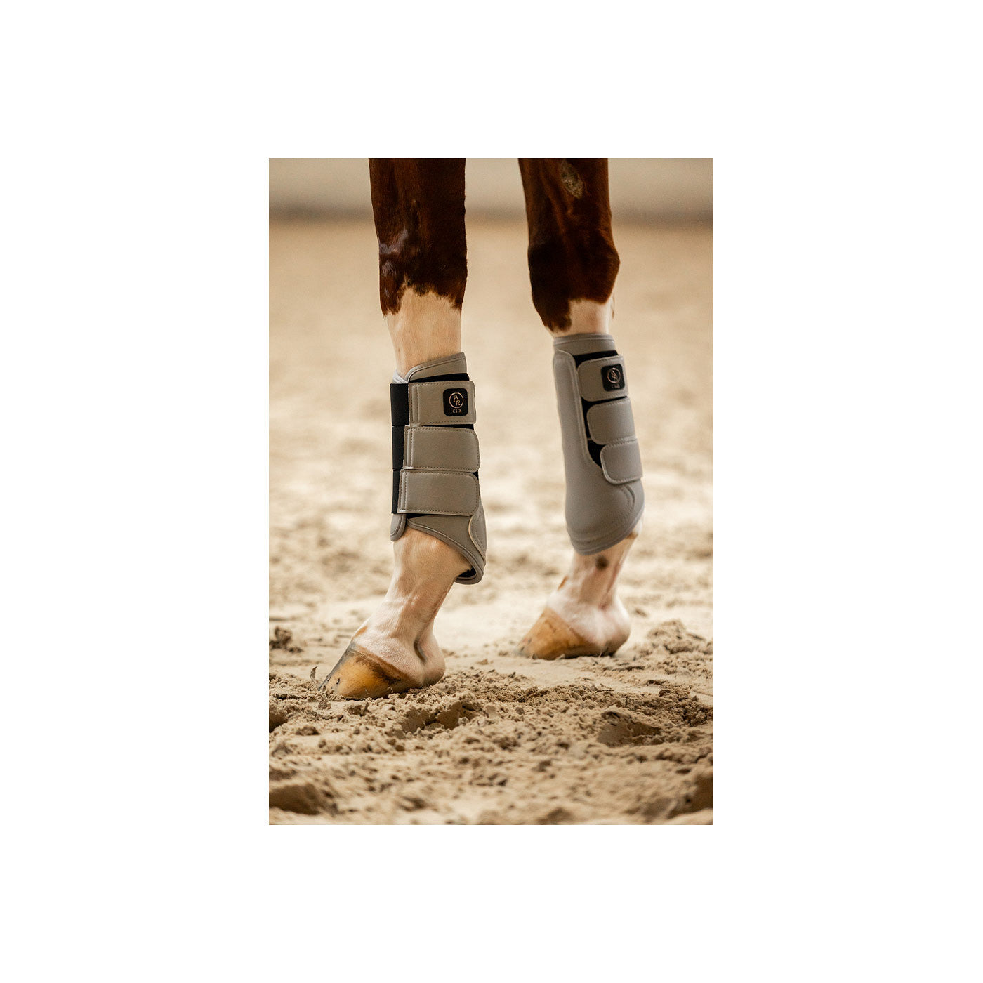 BR CLX Majestic Horse Boots