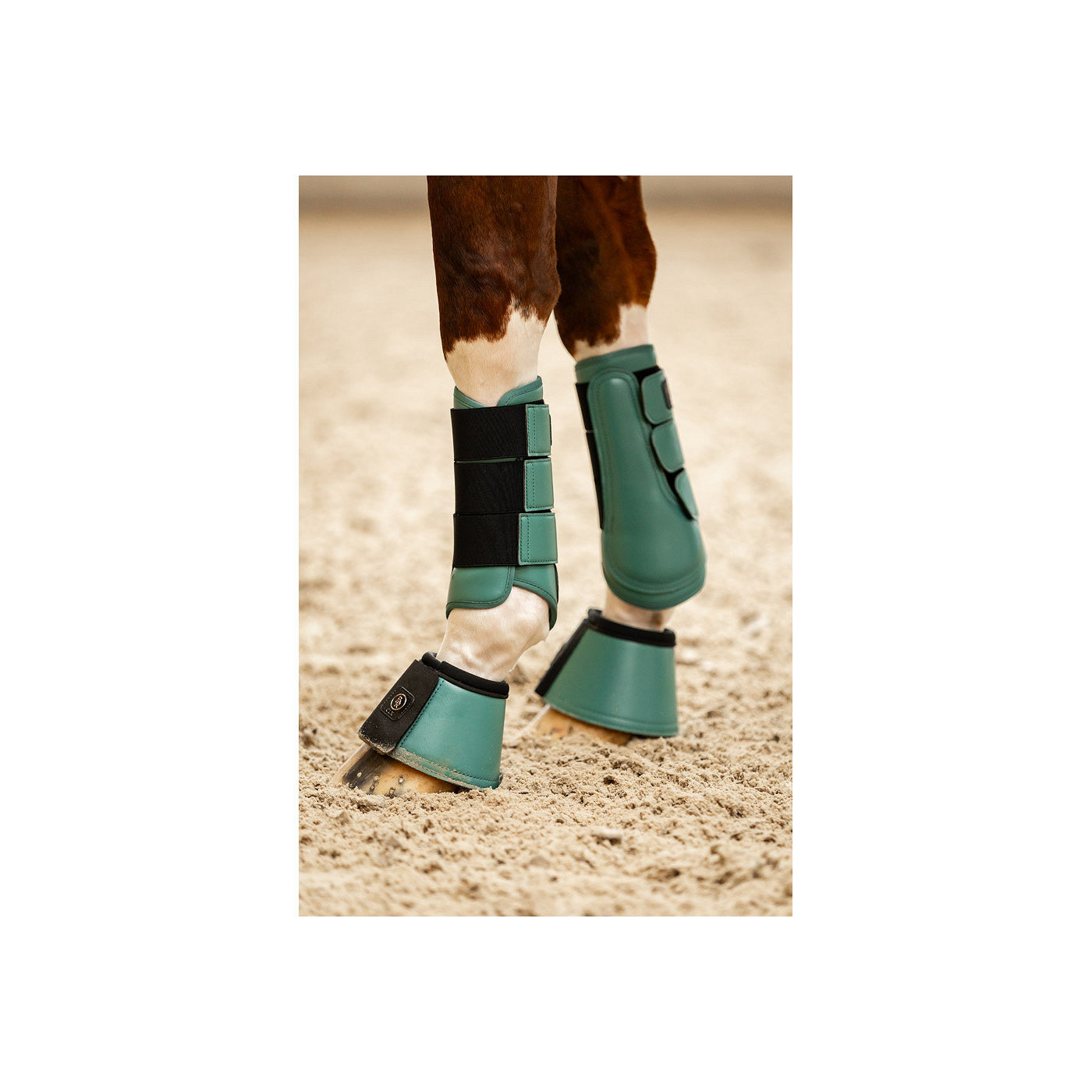 BR CLX Majestic Horse Boots