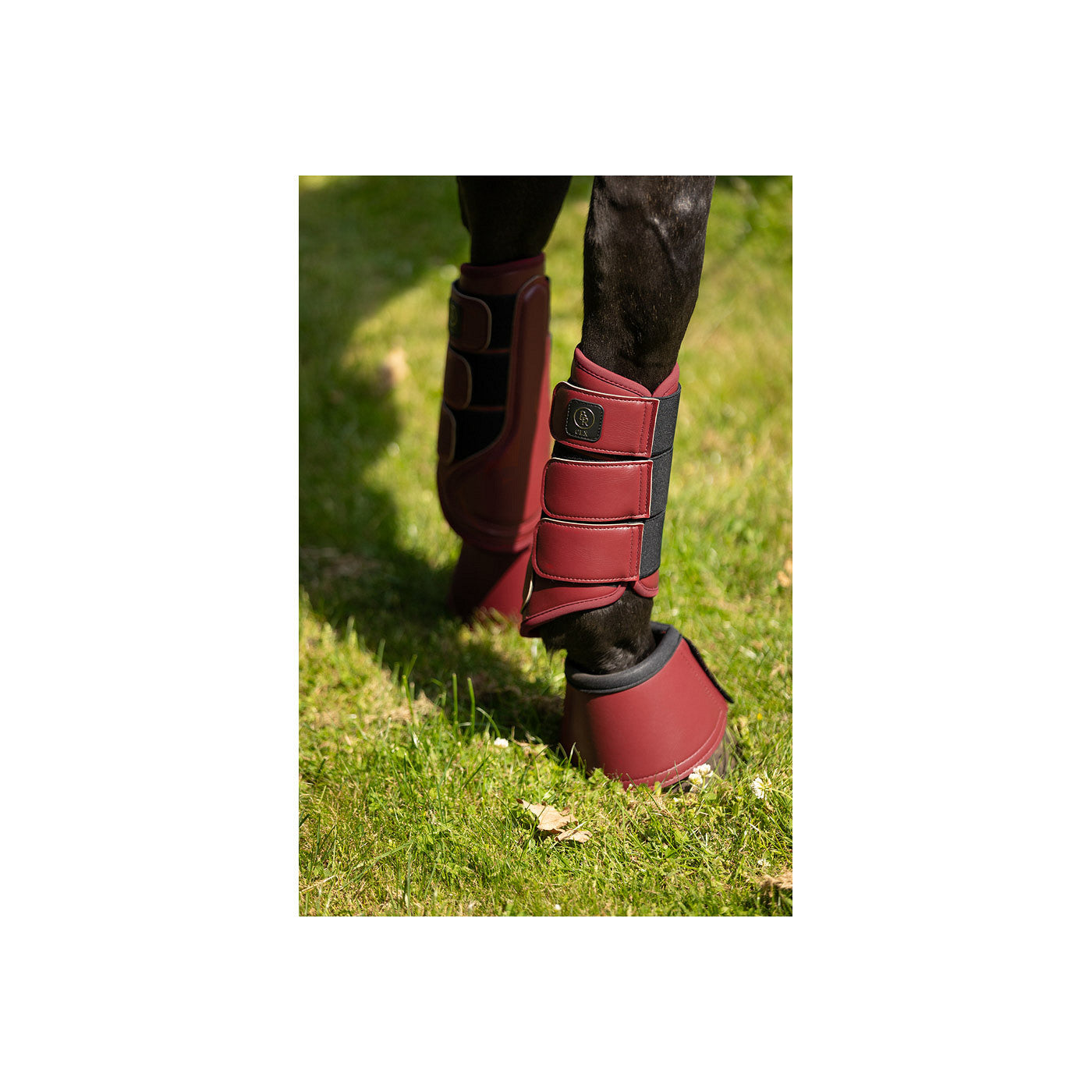 BR CLX Majestic Horse Boots