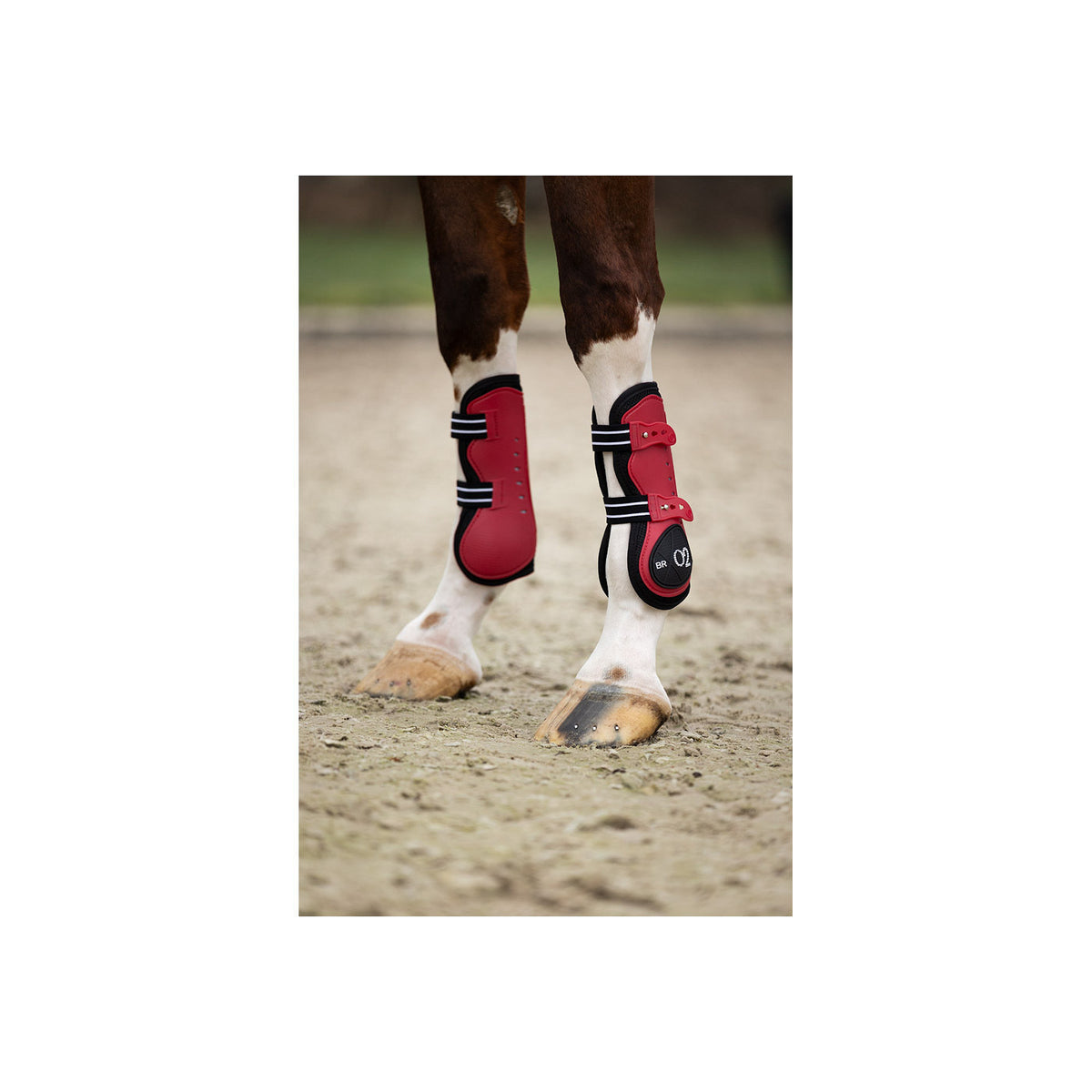 BR XO2 Tendon Boots