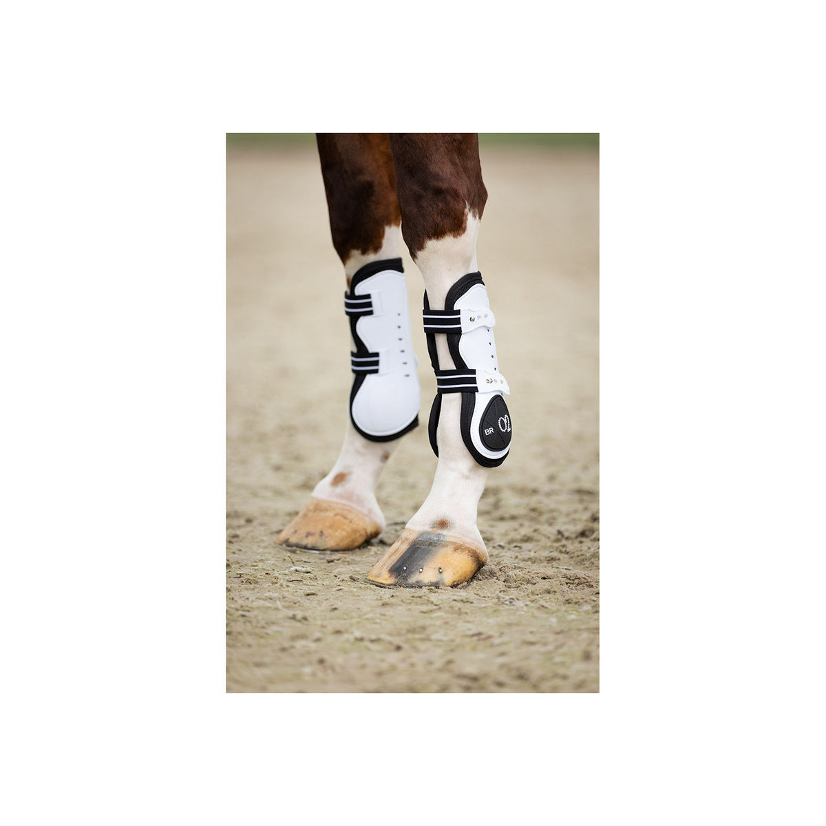 BR XO2 Tendon Boots