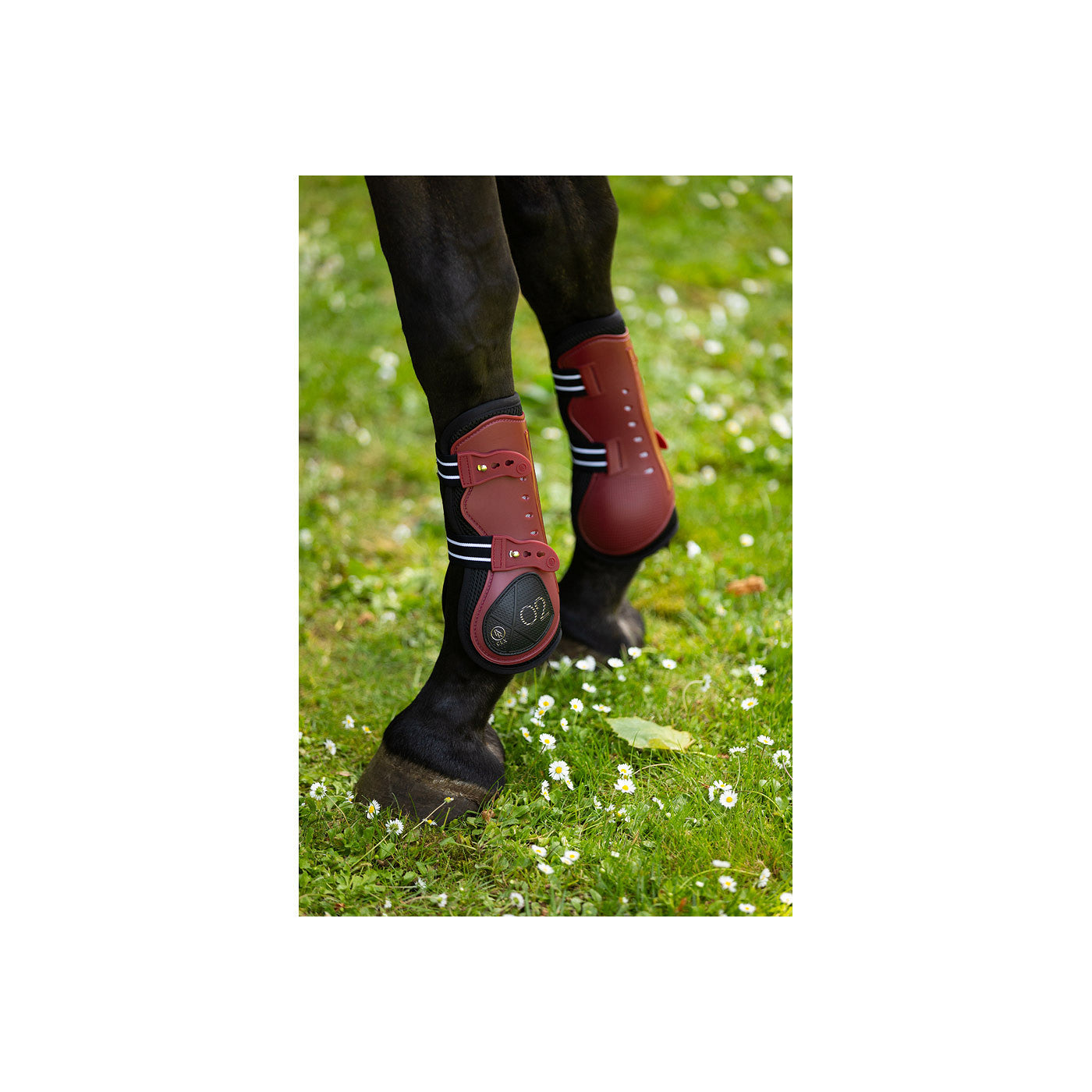 BR CLX XO2 Tendon Boots