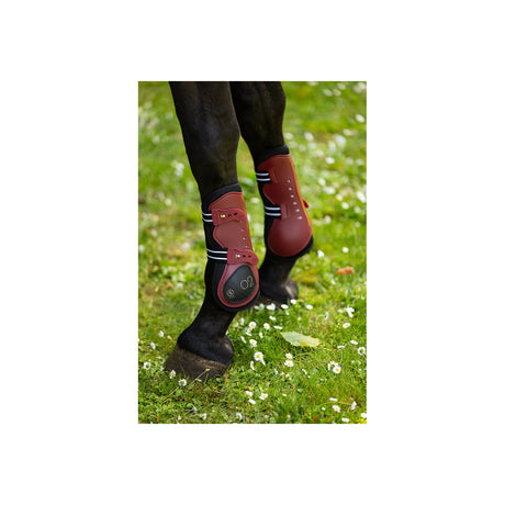 BR CLX XO2 Tendon Boots
