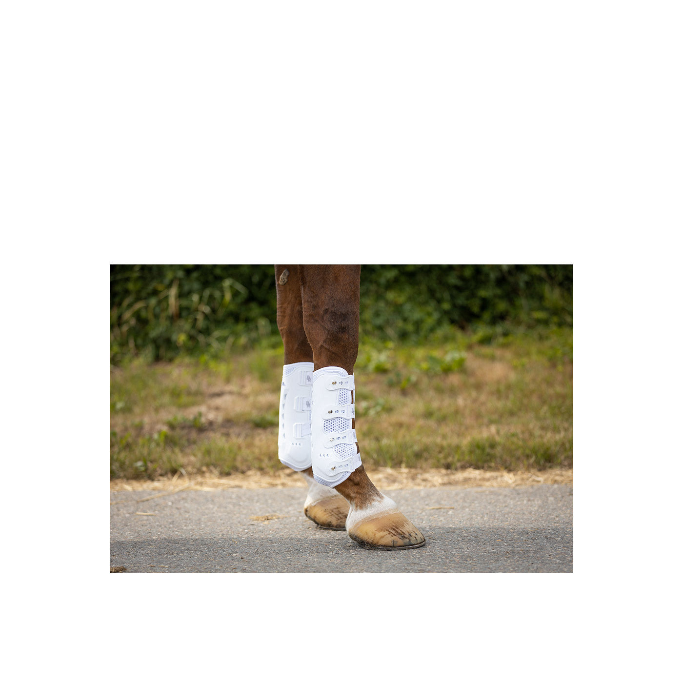 BR Tendon boots Country techfront w/air flow