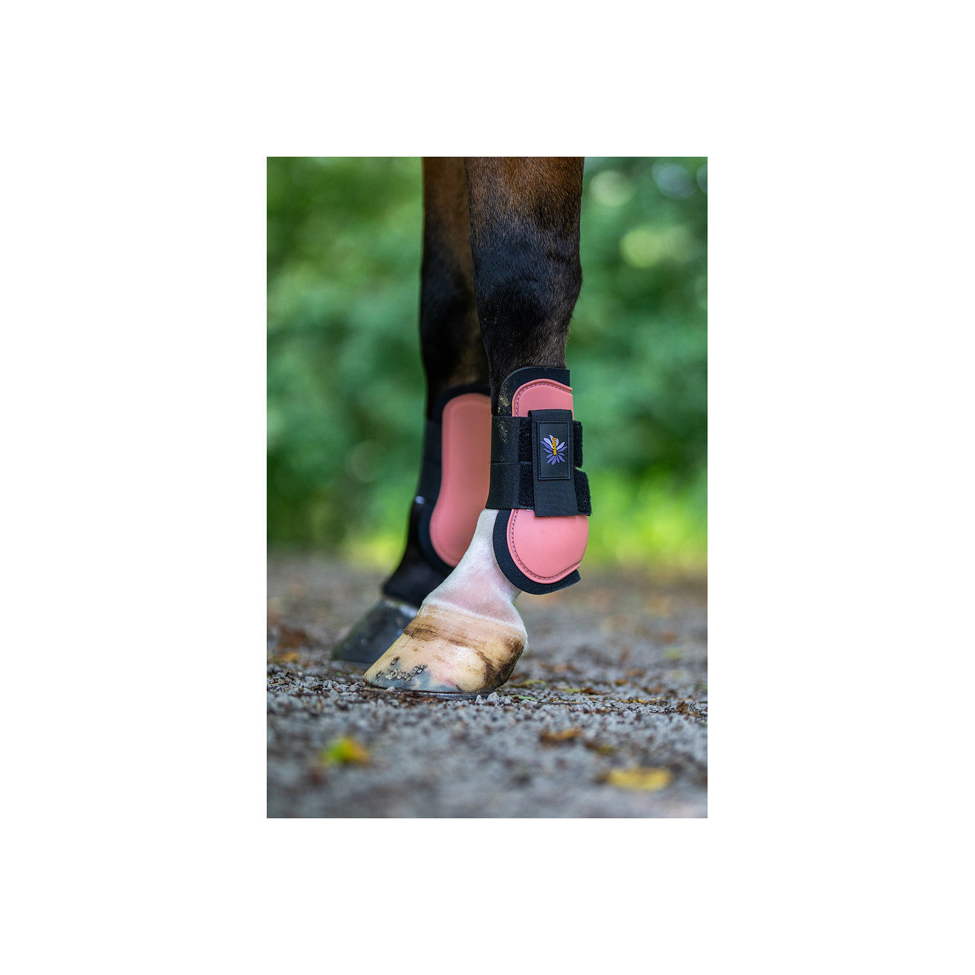 BR Mini Horse Tendon Boots