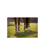 BR Fetlock boots Urban Comfort w/fake fur
