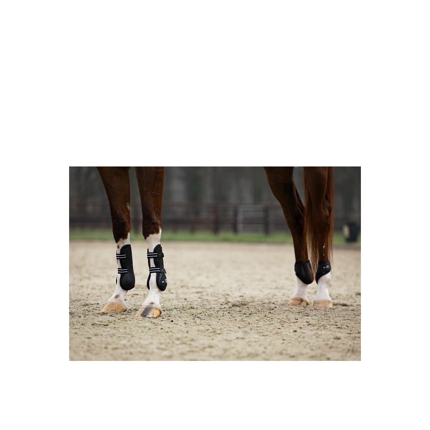 BR XO2 Fetlock Boots