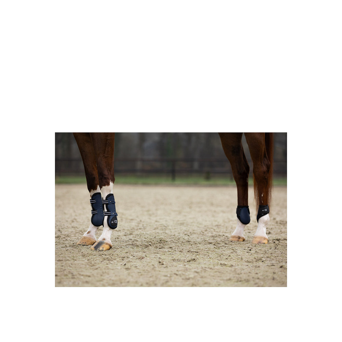 BR XO2 Fetlock Boots
