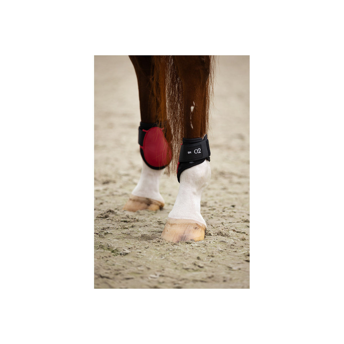 BR XO2 Fetlock Boots