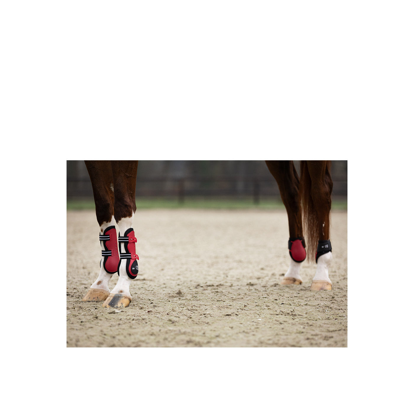 BR XO2 Fetlock Boots