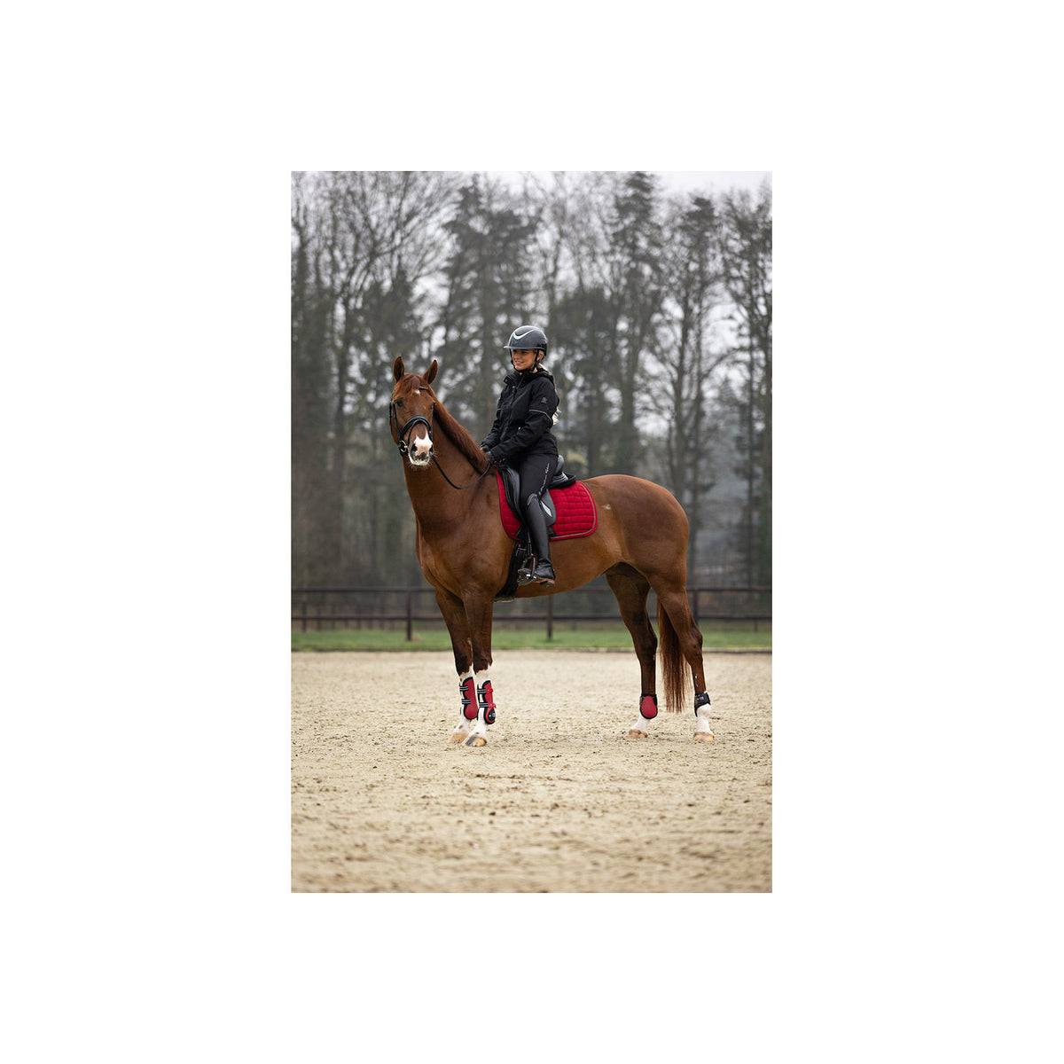 BR XO2 Fetlock Boots