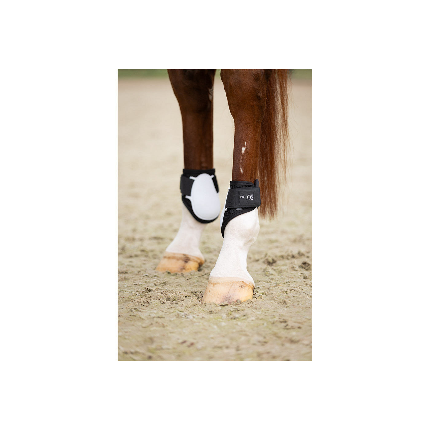 BR XO2 Fetlock Boots