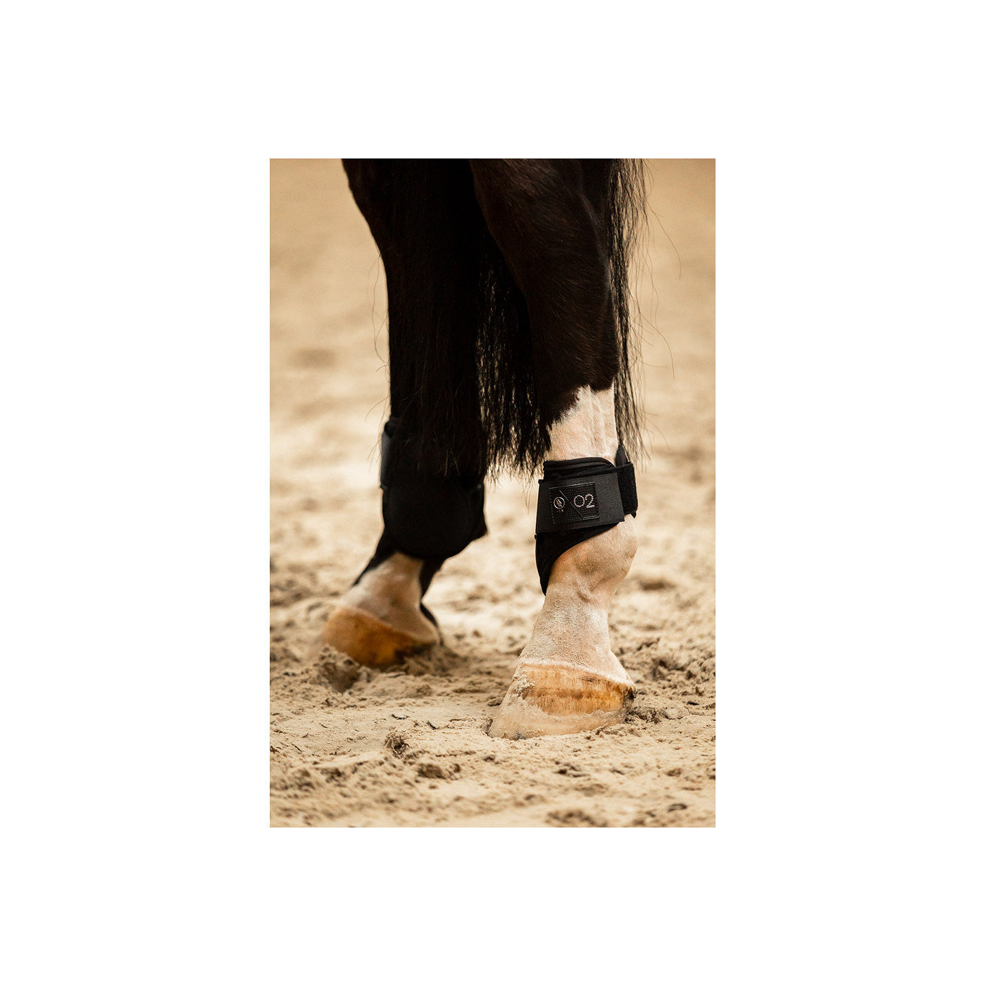 BR CLX XO2 Fetlock Boots