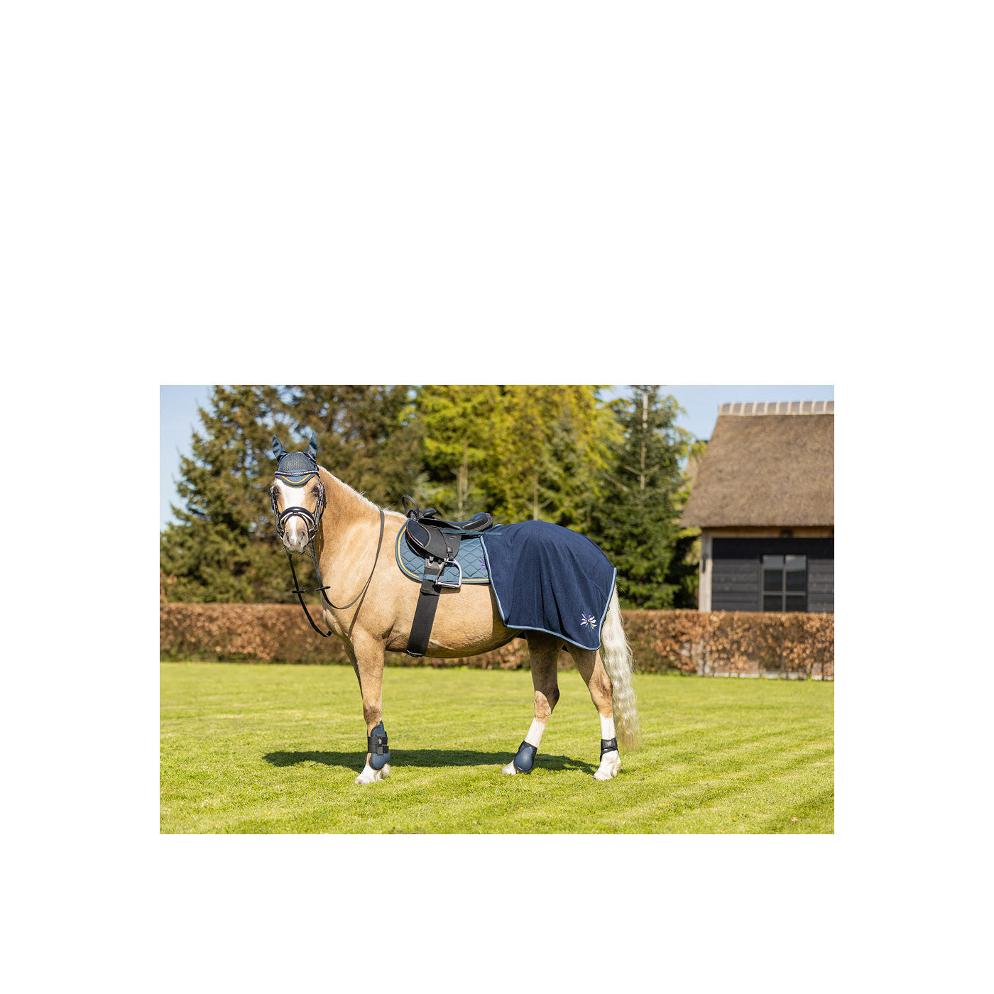 BR Mini Horse Fetlock Boots