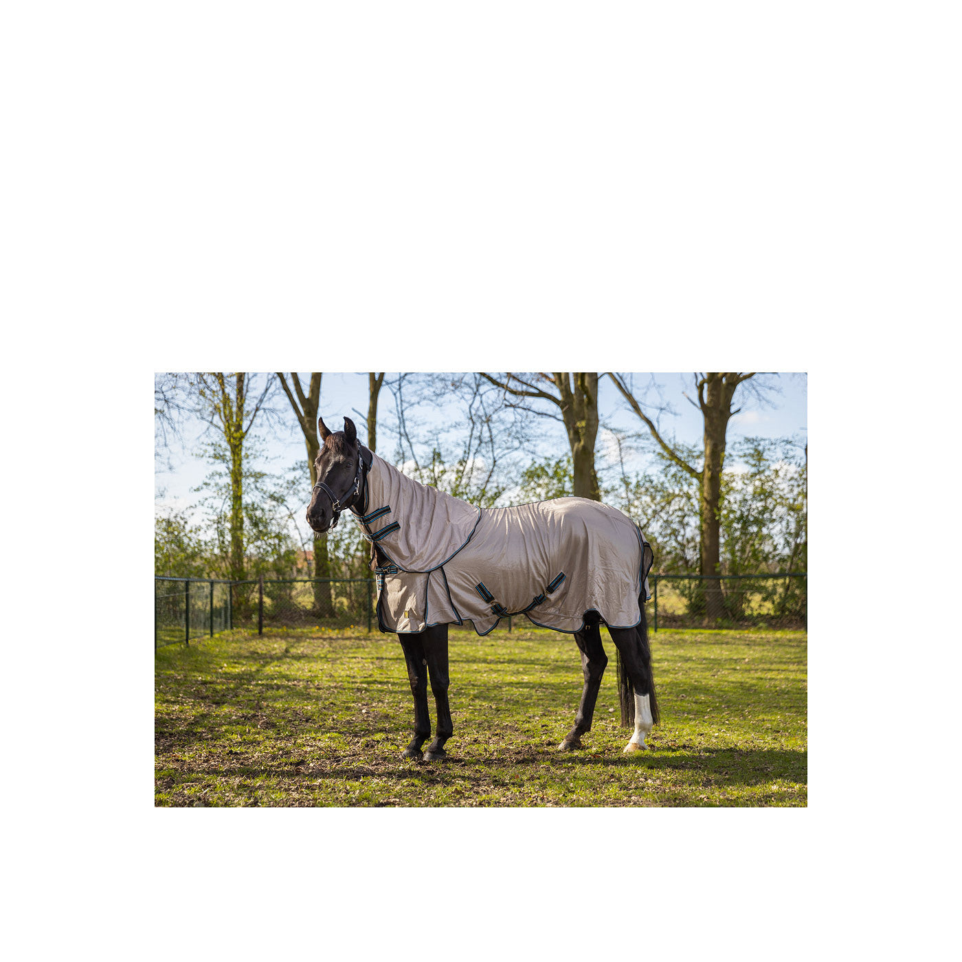 BR Fly Rug Classic Combo