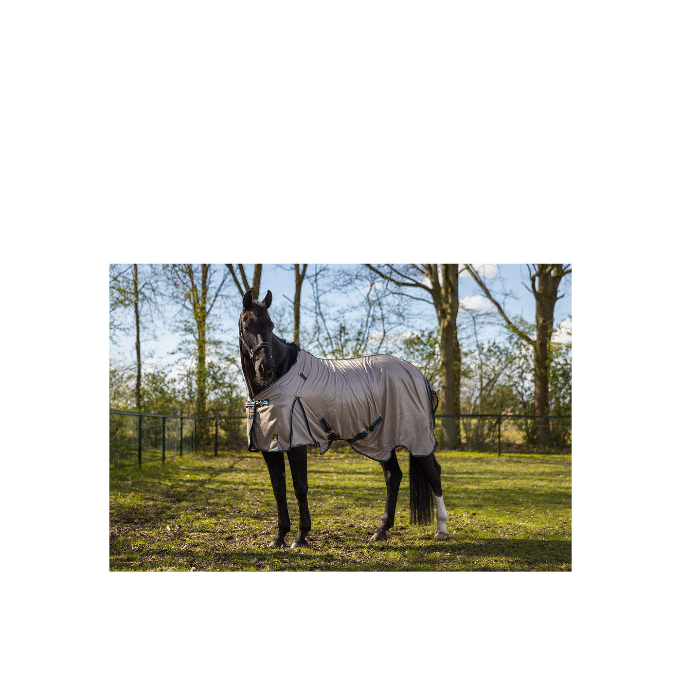 BR Fly Rug Classic Combo