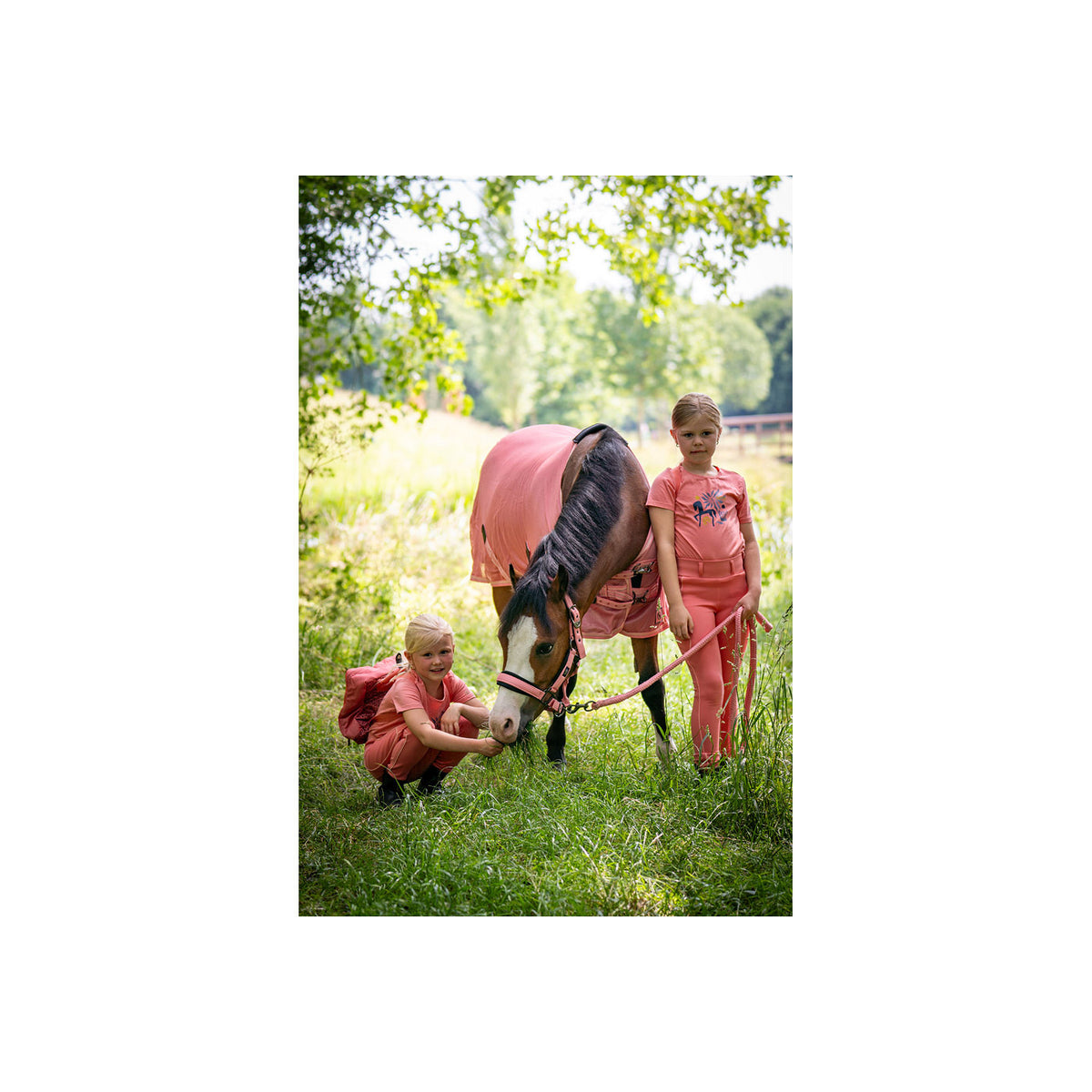 BR Mini Horse Fly Rug
