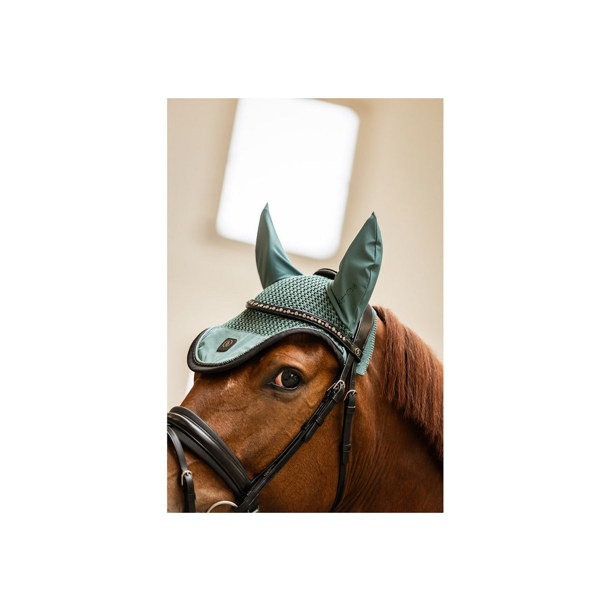BR CLX Ear Bonnet