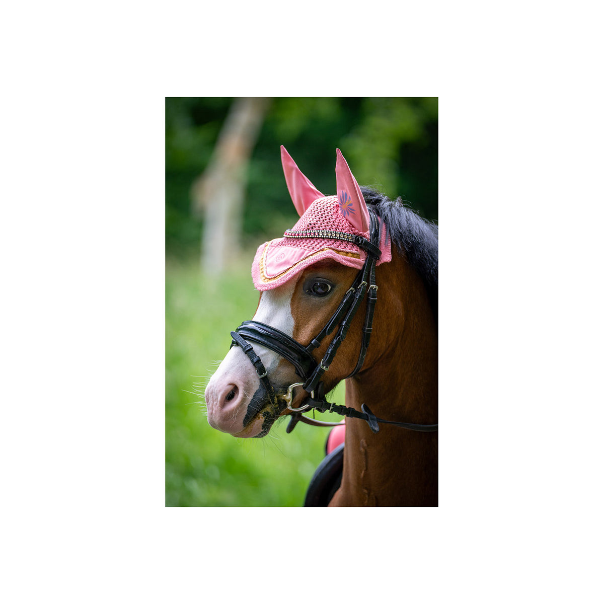 BR Mini Horse Ear Bonnet