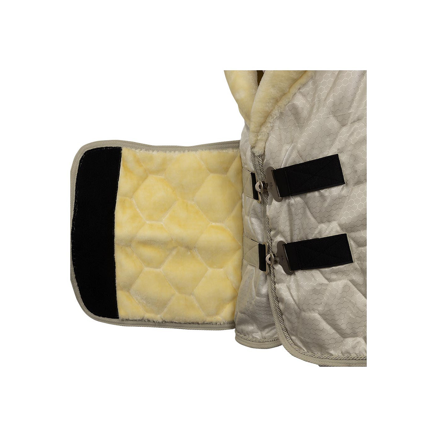 BR Show Rug Zamora C-Wear 600D