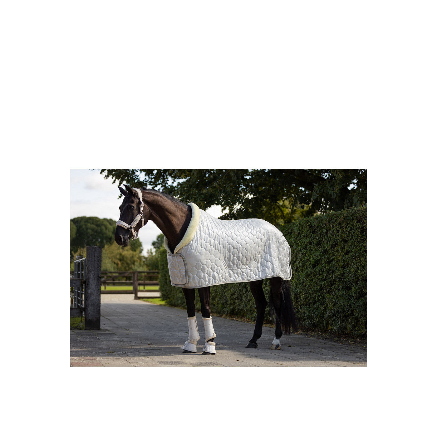 BR Show Rug Zamora C-Wear 600D