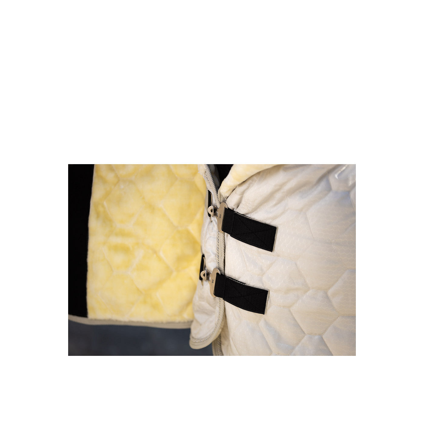 BR Show Rug Zamora C-Wear 600D