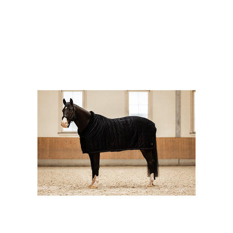 BR CLX Show Rug