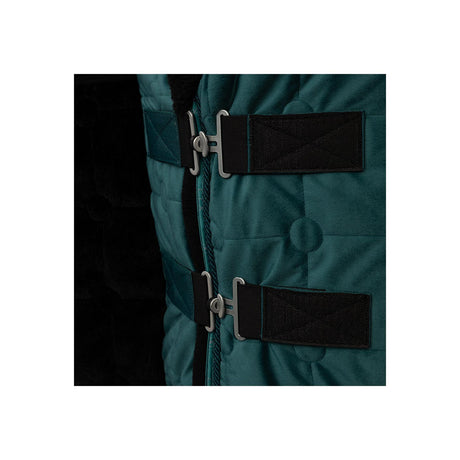 BR CLX Show Rug