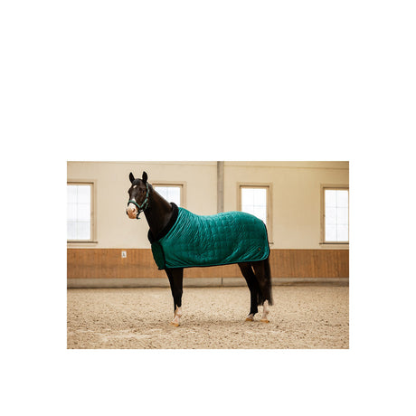 BR CLX Show Rug