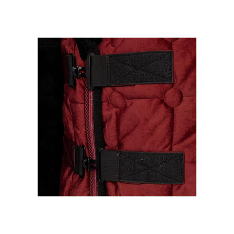 BR CLX Show Rug