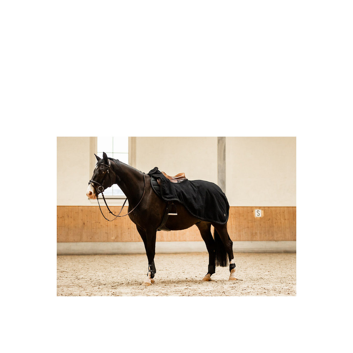 BR CLX Exercide Rug