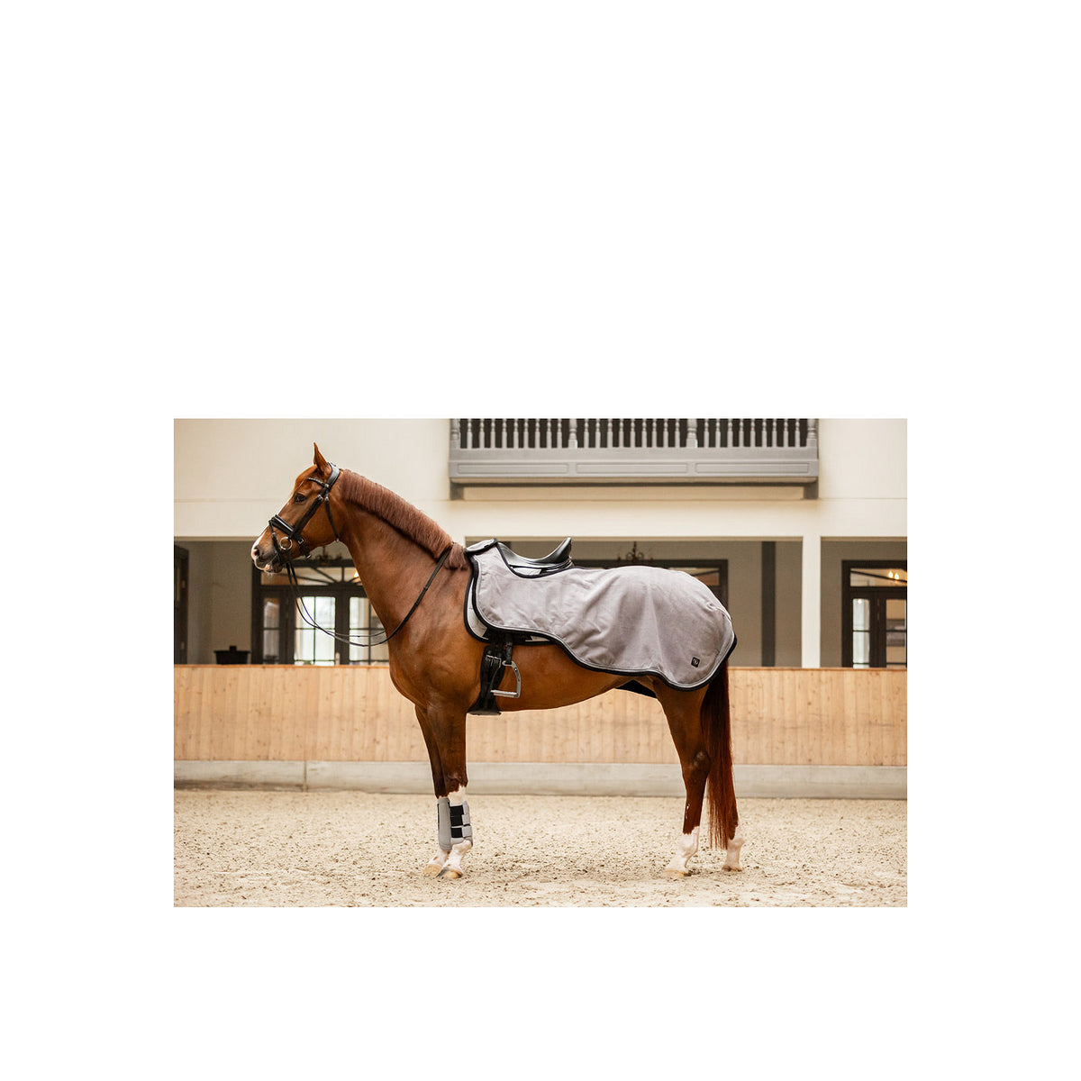 BR CLX Exercide Rug