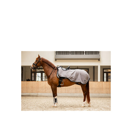 BR CLX Exercide Rug
