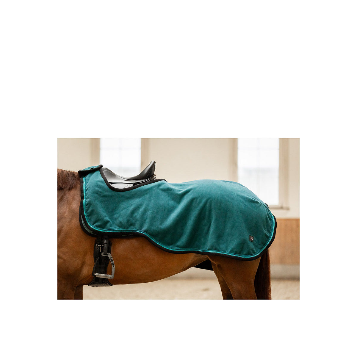 BR CLX Exercide Rug