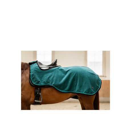 BR CLX Exercide Rug