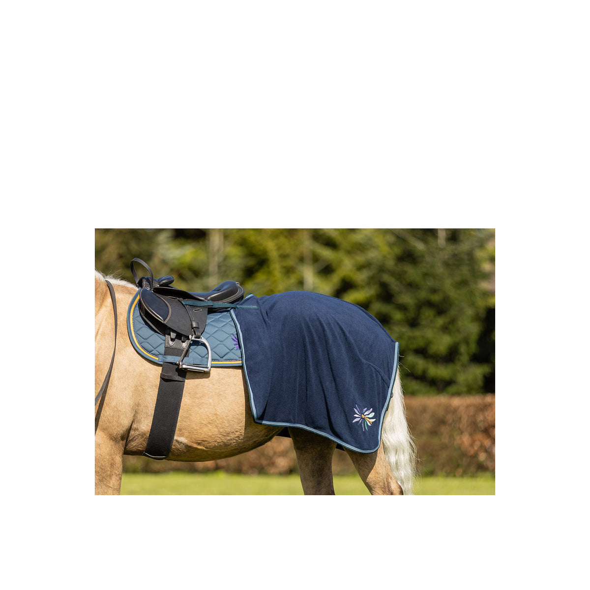 BR Mini Horse Exercise Rug