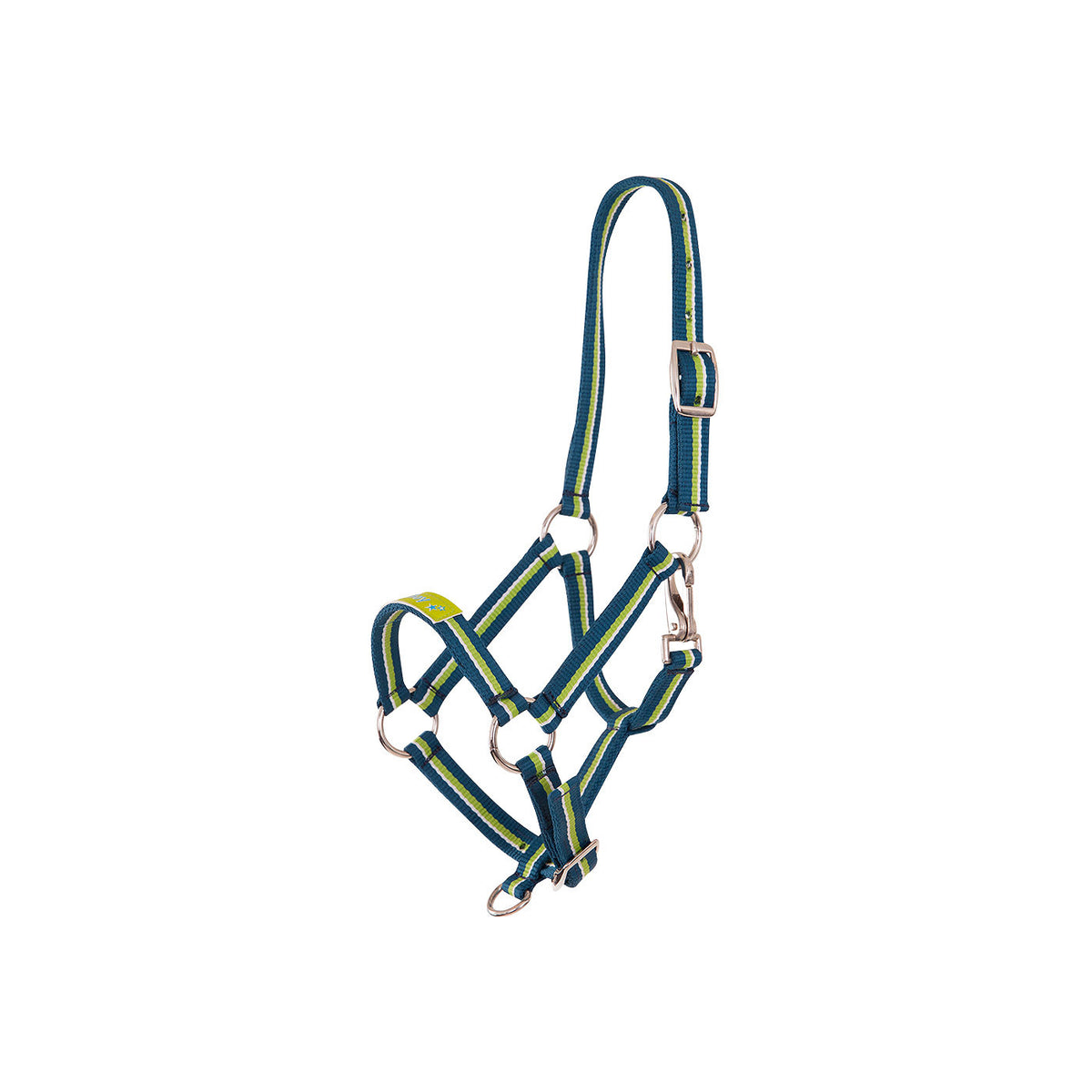 Premiere Foal Halter Fun