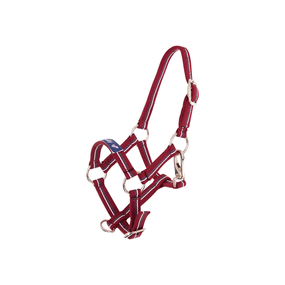Premiere Foal Halter Fun