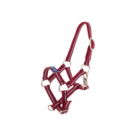 Premiere Foal Halter Fun
