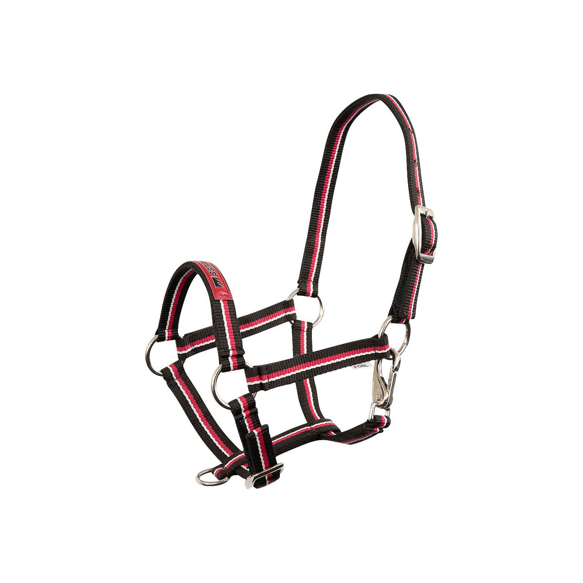 Premiere Foal Halter Fun