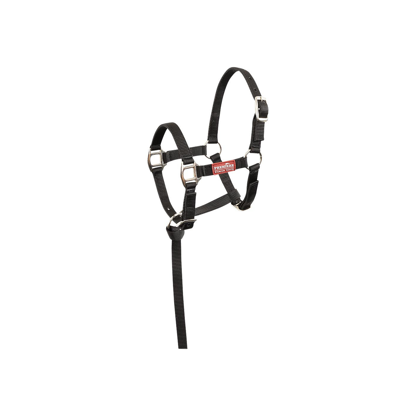 Premiere Foal Halter Brisk