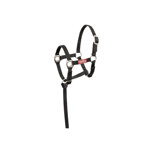 Premiere Foal Halter Brisk